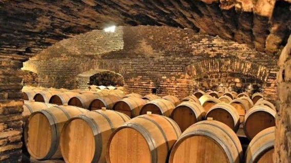 Concha y Toro Winery - Marqués Tour