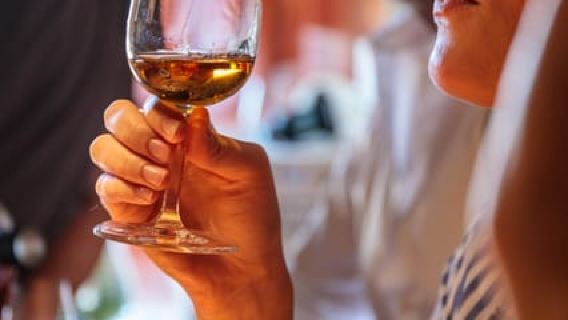Lisbon vineyard: Portuguese Wine Journey, 6 Wines and Bites
