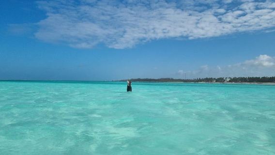 Group Tour Zanzibar: Safari Blue Snorkeling Trip with Lunch