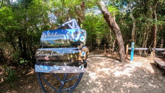 Airlie Beach: Snorkel & Whitehaven Beach Eco-Cruise, Lunch