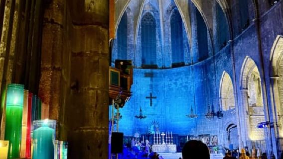 Barcelona: Gothic Quarter By Night Guided Walking Tour