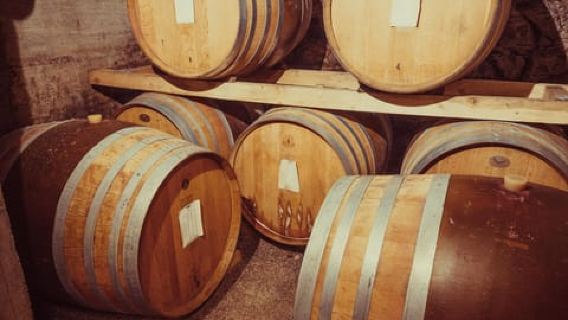 Alba: Wine Tasting and Tour with a Local Producer