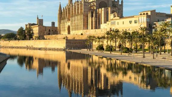 Top Palma de Mallorca: Private guided tour with your mobile