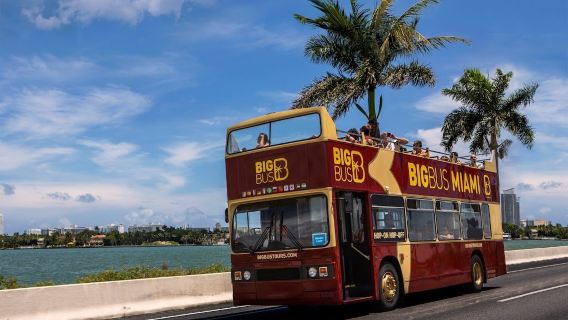 Miami BigBus hop-on hop-off bus (roam South Beach historic district + flexible sightseeing + tropical urban atmosphere)