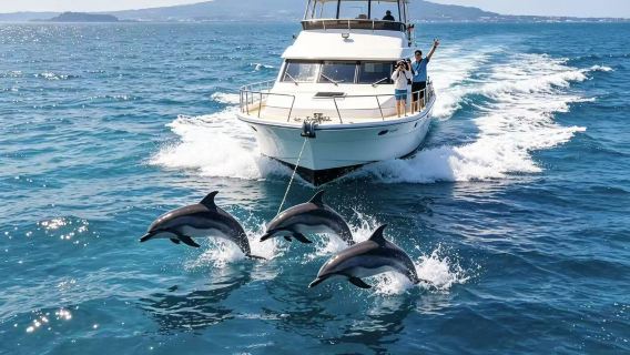 Jeju southwest route B day tour: Shaun the Sheep + Hello Kitty + dolphin chasing + live shooting [admission ticket not included]
