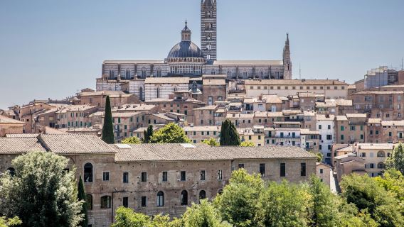 Tour de audio de los lugares destacados de Siena: Tesoros medievales y arte sacro