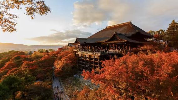 京都：清水寺+二三年坂+伏見稻荷大社+金閣寺+嵐山一日遊