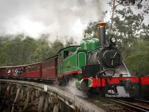 Puffing Billy, Wildlife Sanctuary & Penguins Day Tour from Melbourne