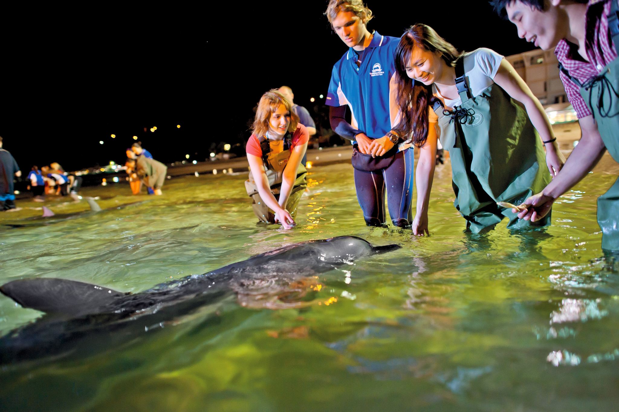 Tangalooma Dolphin Feeding Day Cruise with ATV Quad Bike