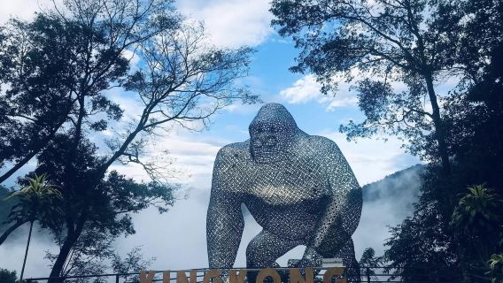 Chiang MaiExperiences