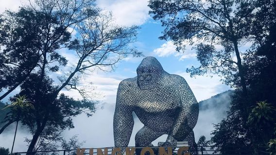 Chiang MaiExperiences