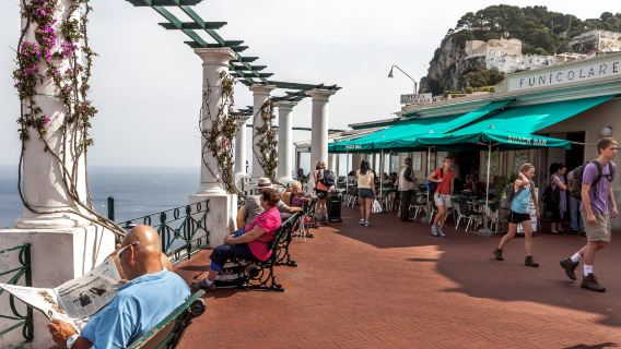 Capri Private Excursion from Naples or Sorrento Port