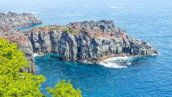 Japonya Izu Günübirlik Turu: Omuro Dağı Teleferiği + Jogasaki Sahili | Tokyo'dan Hareket