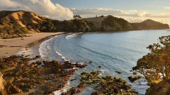 New Zealand Te Puia Maori Cultural Village + Pohutu Geyser + Waitomo Glowworm Caves 1-day tour