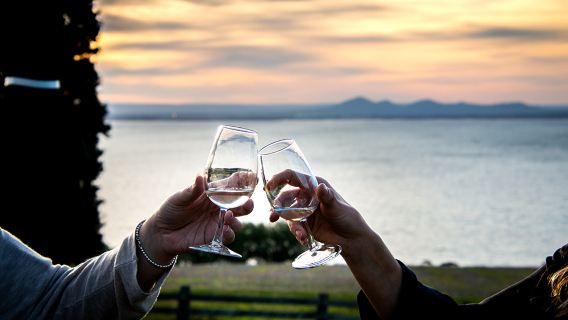 MorningtonTours
