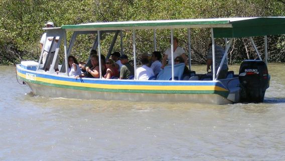 Parque Nacional Palo Verde: Jungle River Cruise