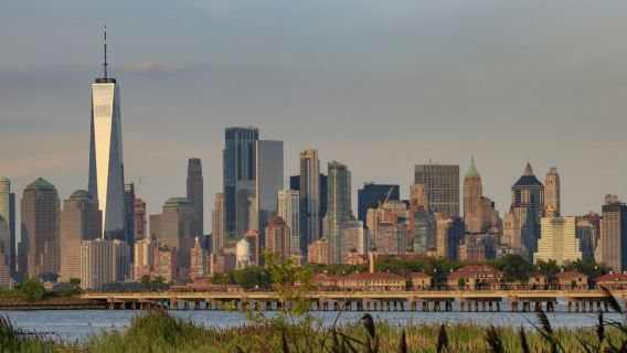 Нью-Йорк: Однодневная экскурсия по панораме города.