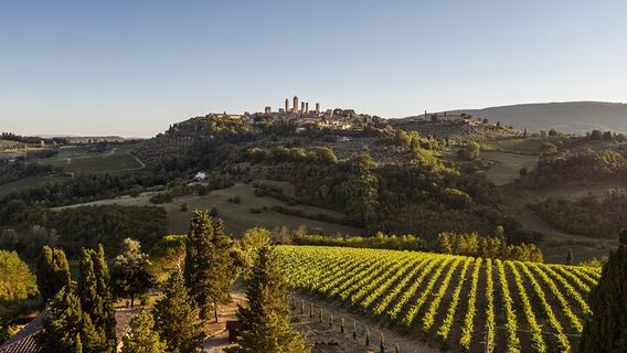 San GimignanoExperiences