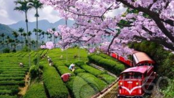 嘉義市日遊