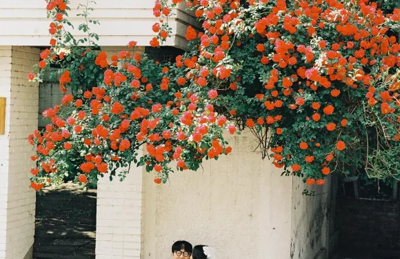 澎湖Trip Moments【宣傳片微電影紀錄片/商業攝影攝像跟拍航拍寫真婚紗/翻譯】