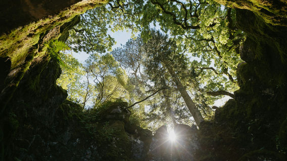 Sintra