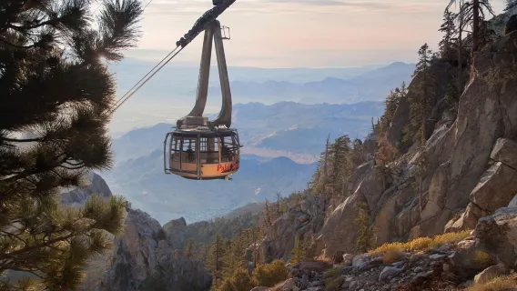 Palm Springs Aerial Tramway: Entry + Roundtrip Transport