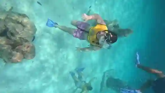 Cancun snorkelling experience with turtles, reef and shipwreck