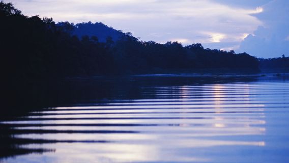 Kinabatangan River one-day tour[Hotel Pickup and shared tour Tour]