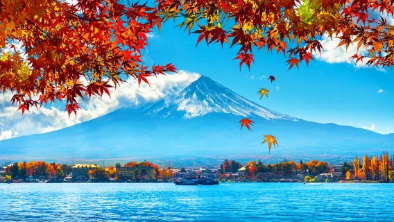 One-day tour of Mount Fuji's popular Instagram attractions, including Tianti Town, Kawaguchiko, Oshino Hakkai, and Lawson