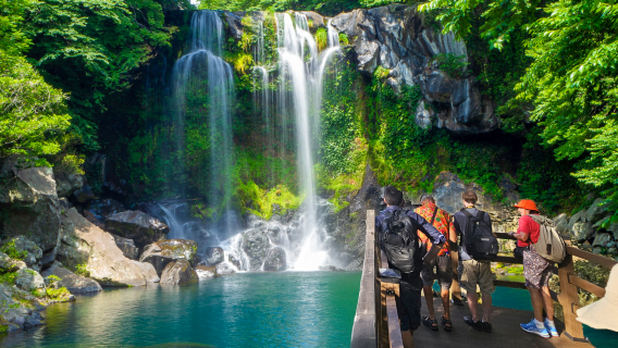 Jeju's first English Bus Tour Since 2008 for SouthWest & Hallasan Jeju Highlights