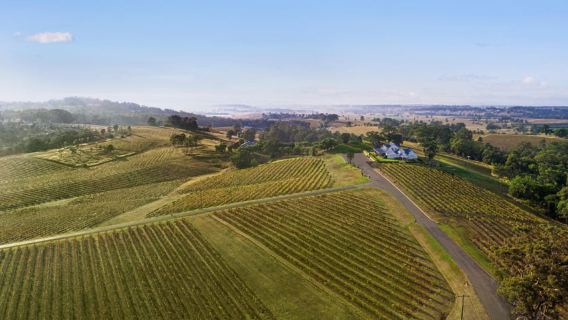 Pokolbin: Picnic & Wine Tasting at Audrey Wilkinson Vineyard