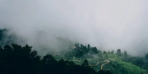 埃勒:錫蘭紅茶徑第16段 - 埃勒至德摩達拉