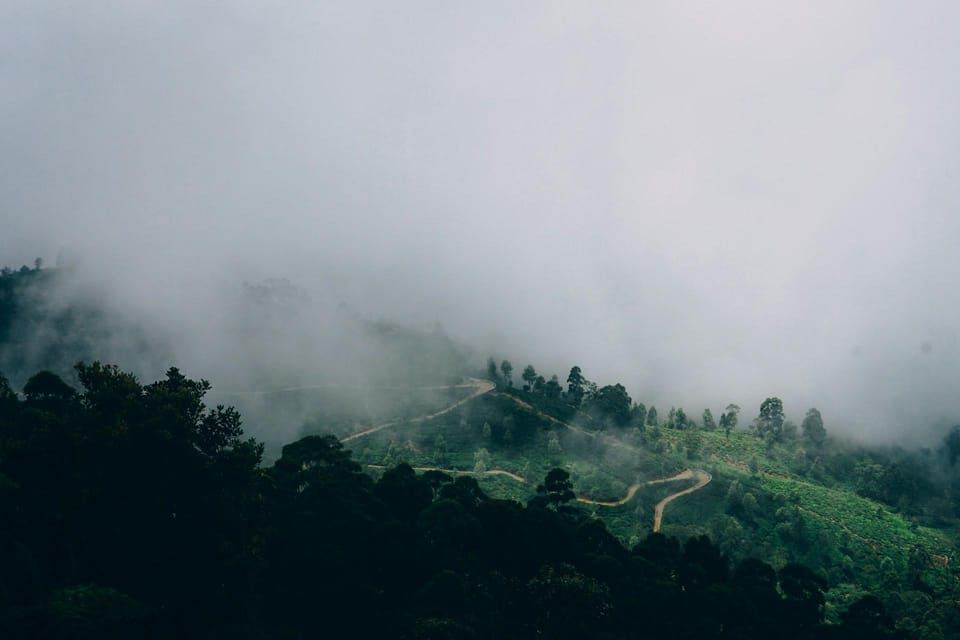 Ella: The Pekoe Trail Stage 16 - Ella to Demodara