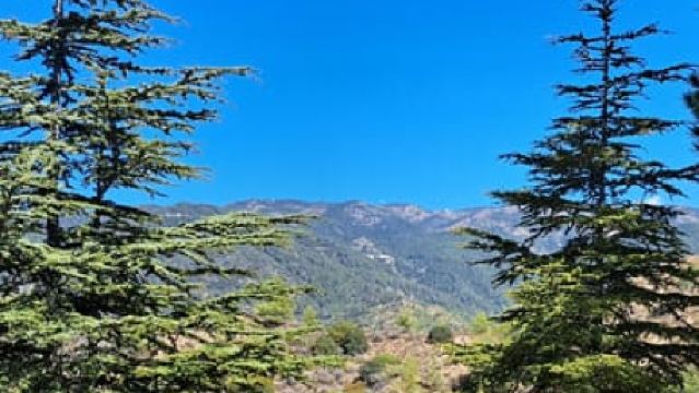 Paphos: Troodos Mountains Jeep Tour with Wine Tasting