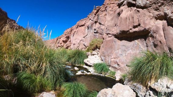 Atacama: Heiße Quellen Termas de Puritama