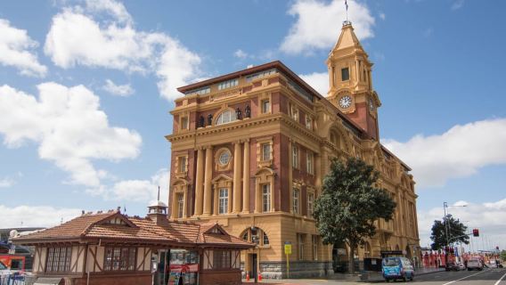 Auckland: Guided Small Group City Discovery Tour