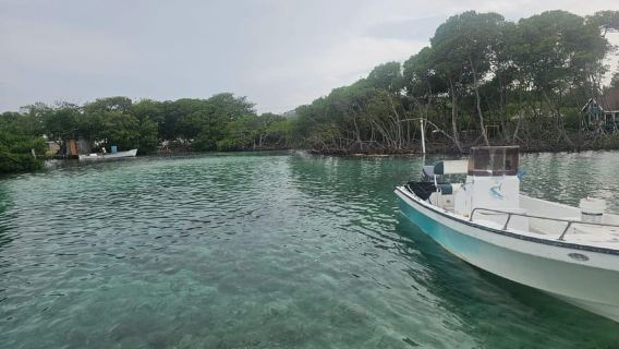 Roatan: Tour tham quan East End với Văn hóa Garifuna và Rừng ngập mặn