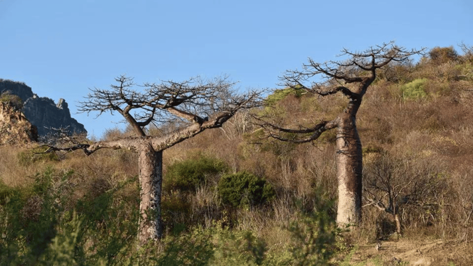 Antsiranana: Day tour in Amber Mountain