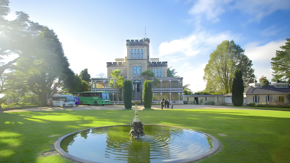 Однодневный тур по Данидину, Новая Зеландия: специализированный маршрут к морским львам, тюленям и альбатросам