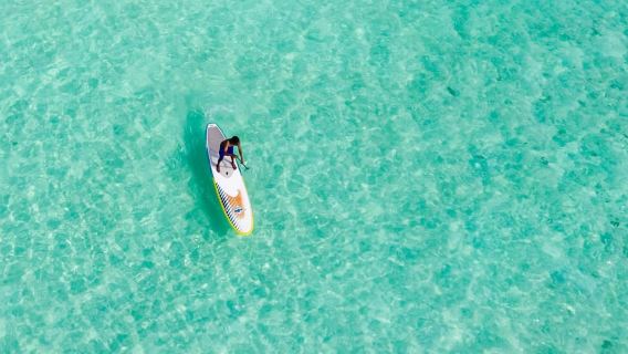 Moreton Island: Premium Tangalooma Snorkel & Dolphin Tour