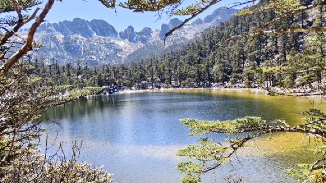 Xichang to Luo Ji Mountain shuttle bus (round-trip)