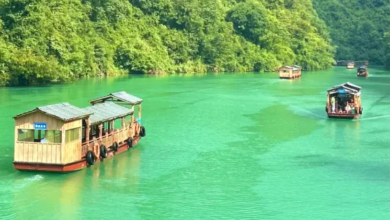 Changsha nach Zhangjiajie Grand Canyon (Glasbrücke) 1-tägige Privatgruppe mit englischsprachigem Reiseleiter