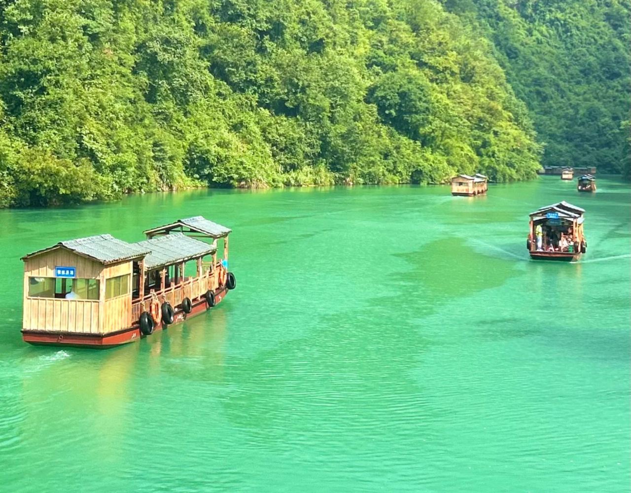 Changsha to Zhangjiajie Grand Canyon (glass bridge) 1-Day Private Tour  with English-Speaking Guide