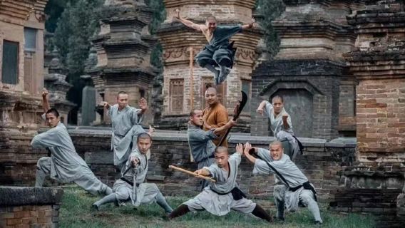 Kumpulan 8/15/50 orang lawatan setengah hari Kuil Shaolin pelbagai pilihan kumpulan tiada membeli-belah