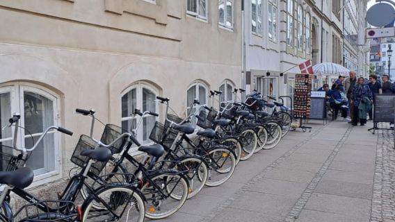 Copenaghen: tour in bicicletta di 2 ore e mezza "da non perdere" con una guida locale