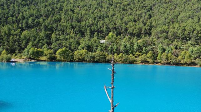麗江玉龍雪山雲杉坪+藍月谷日照金山一日遊{2-8人小團}