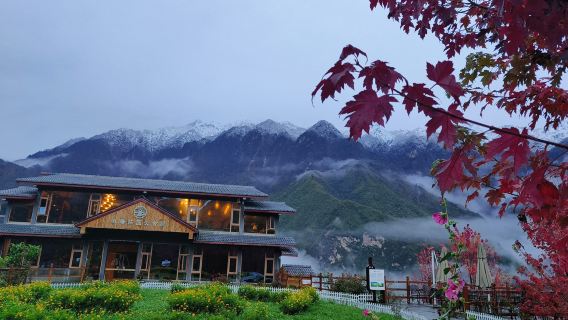 九寨一日遊【綿九高速包車|九寨莊園|神仙池|甲勿海熊貓園等】