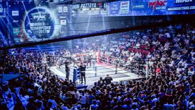 泰國曼谷來回 芭堤雅老虎園+實彈射擊+Max泰拳館體驗一日遊