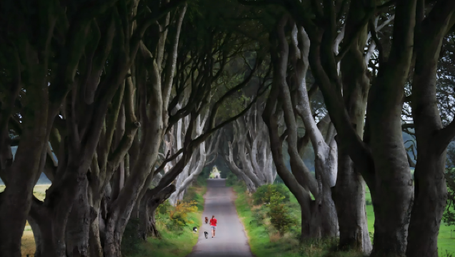 Berlepas dari Dublin/Belfast + Jalan Raksasa + Pagar Pokok Gelap [Lawati Lokasi Penggambaran Game of Thrones]