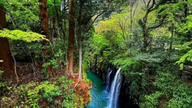 日本熊本+阿蘇山+草千里+熊神社+高千穗峽-經典火山行程